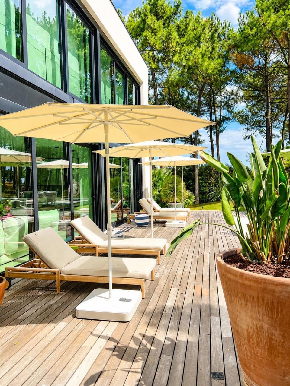Villa Palmgreen avec piscine, face à la mer Villa in Les Mathes