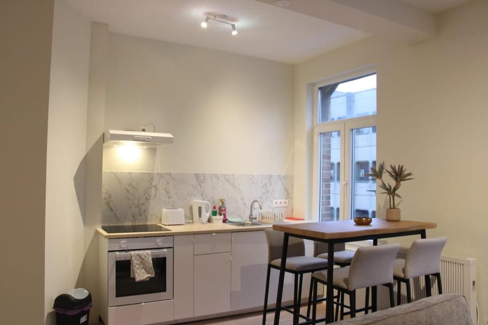 Appartement moderne,5pers,accès facile au centre,Berchem Brussels Apartment in Flanders