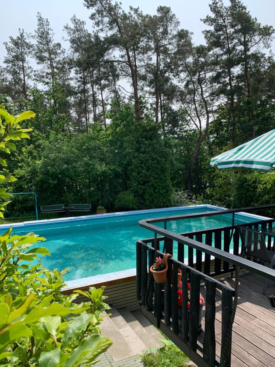 Pool view