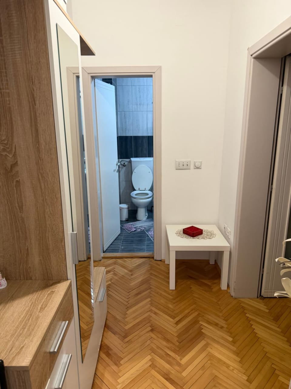 Apartman SANjA Apartment in Serbia