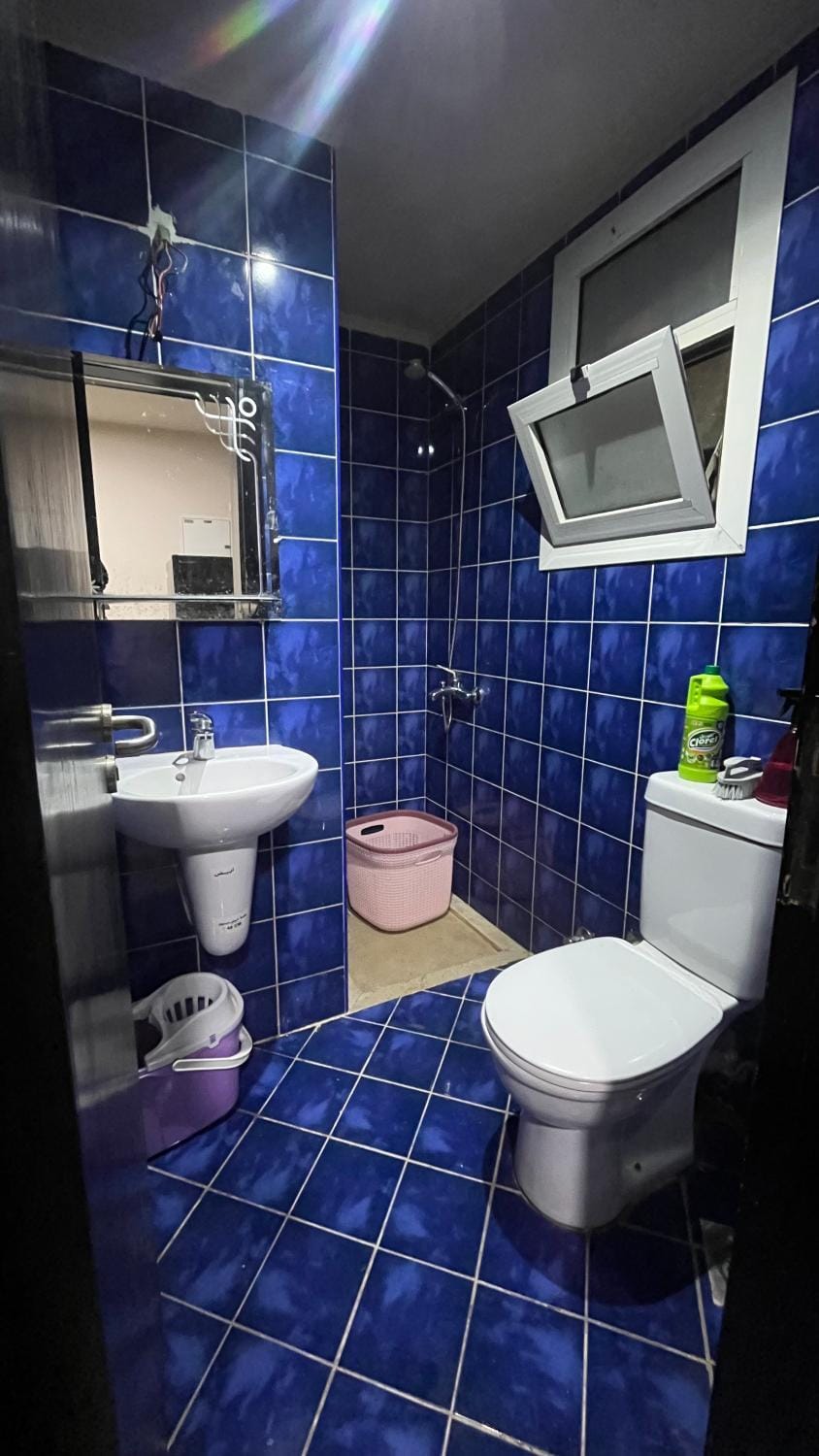 Shower, Toilet, Bathroom, bidet