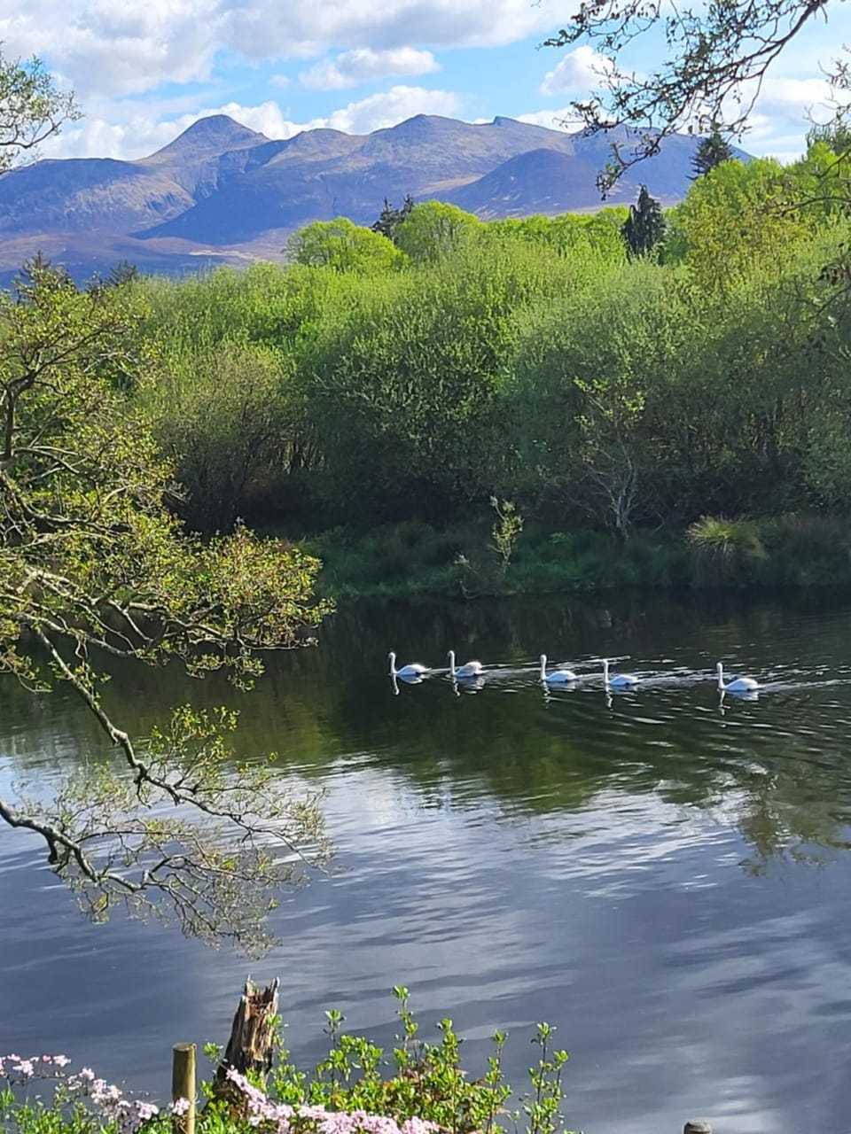 the ring of kerry riverside apartment Apartment in County Kerry