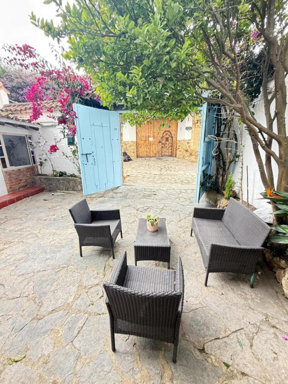 Patio, Garden, Seating area, Garden view