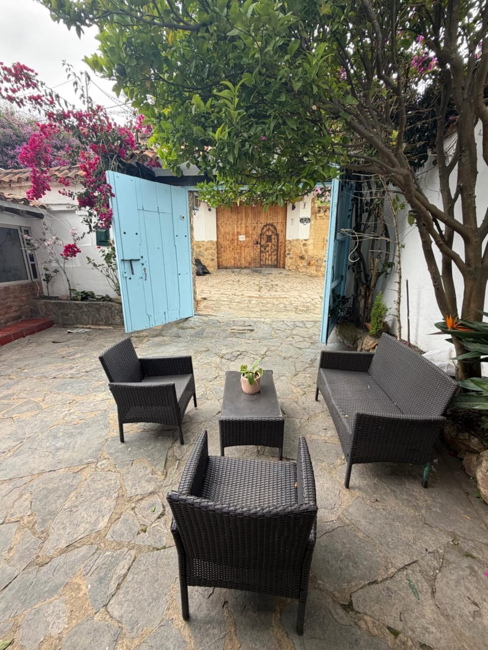 Garden, Seating area, Garden view