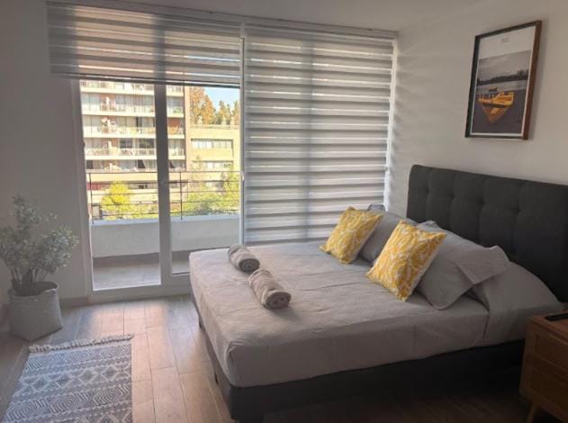 Studio Nuevo Cercano al Movistar Arena y Parque Ohiggins Apartment in Santiago