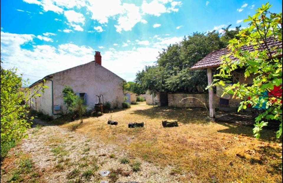 Property building, Garden, Garden