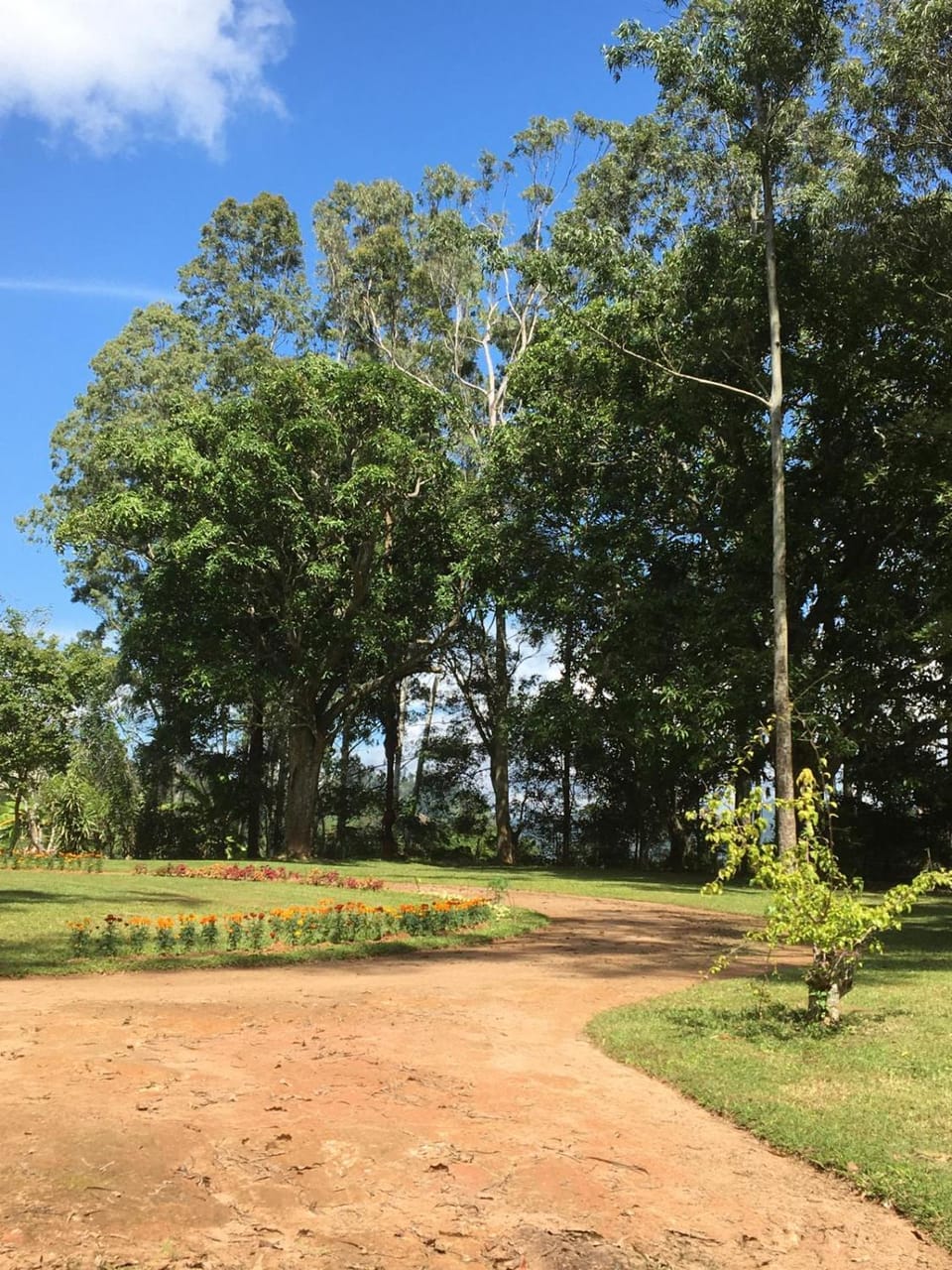 Garden, View (from property/room)