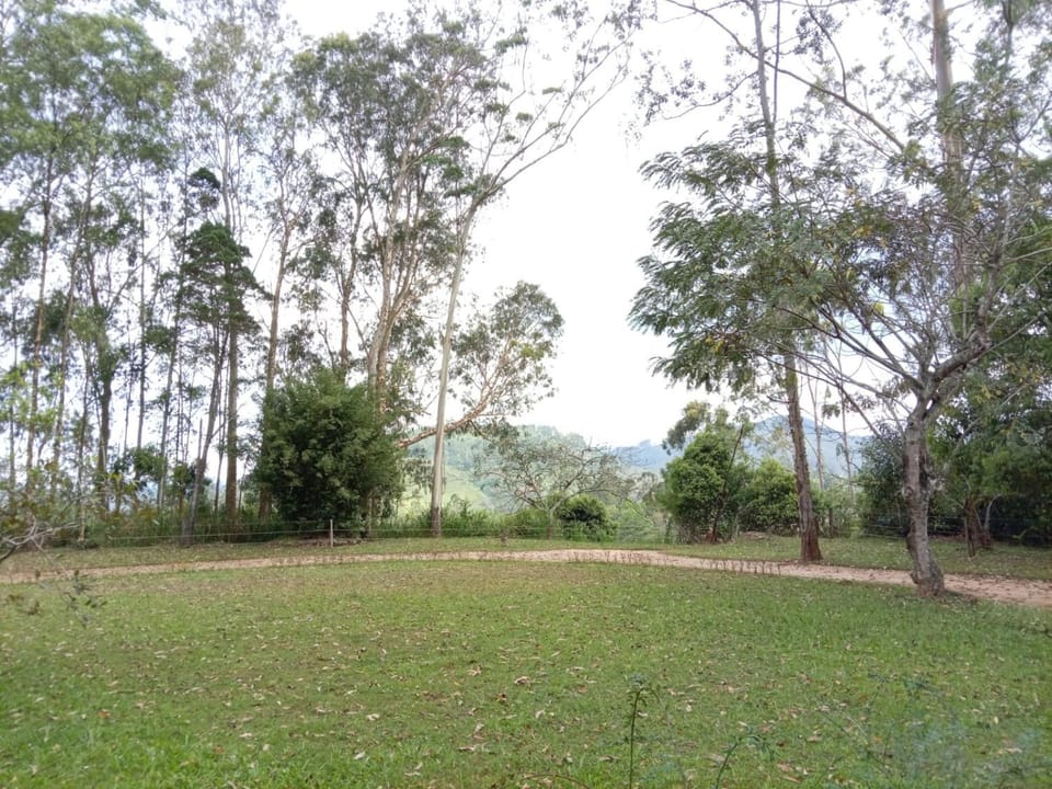 Garden, View (from property/room)