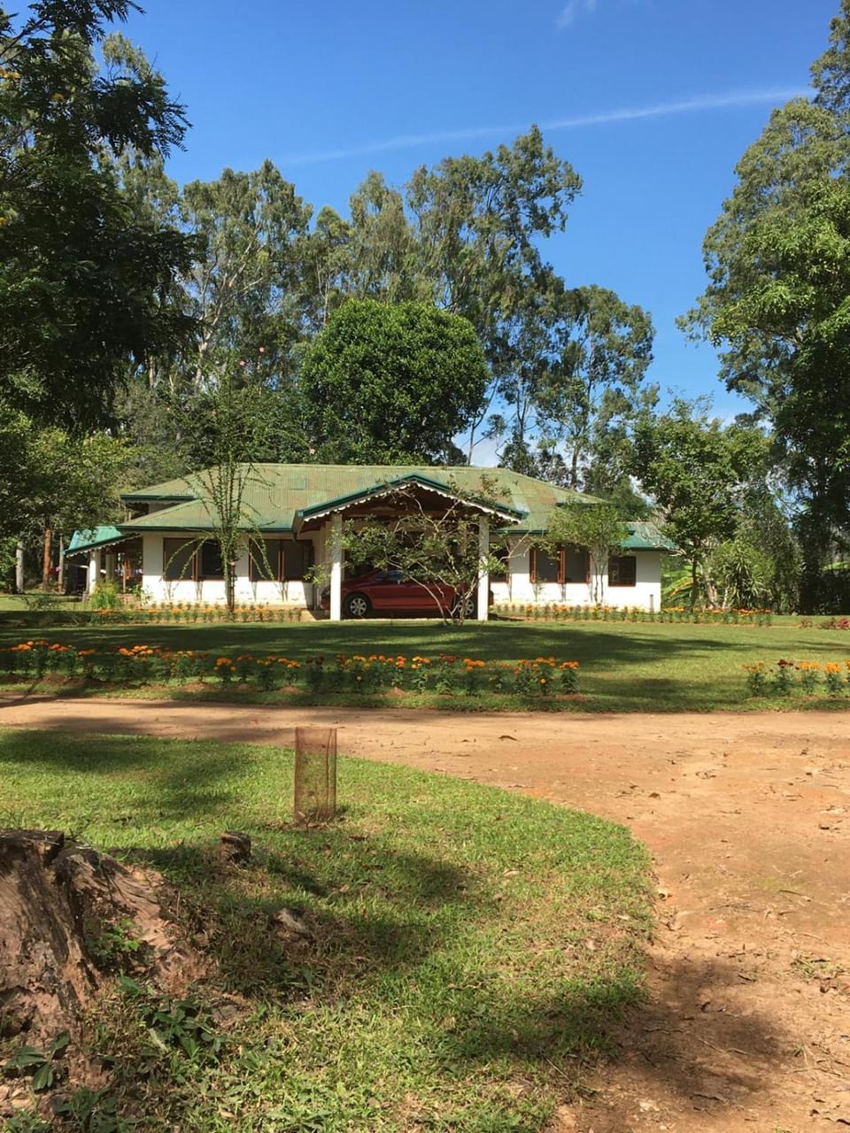 Natural landscape, Garden