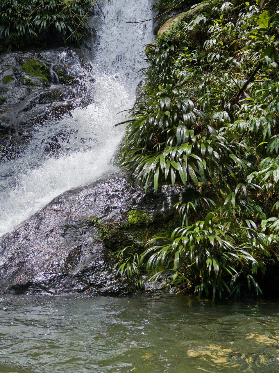 Refugio Rio Santo Campground/ 
RV Resort in Antioquia