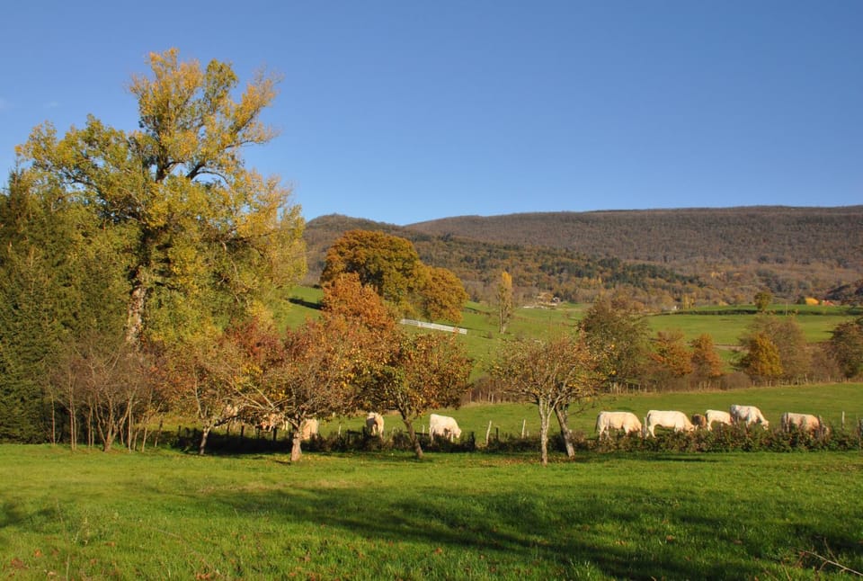 Natural landscape, Garden, Mountain view
