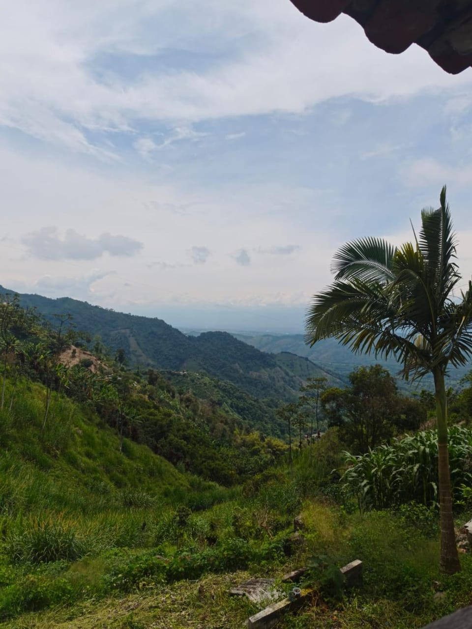 Mountain view