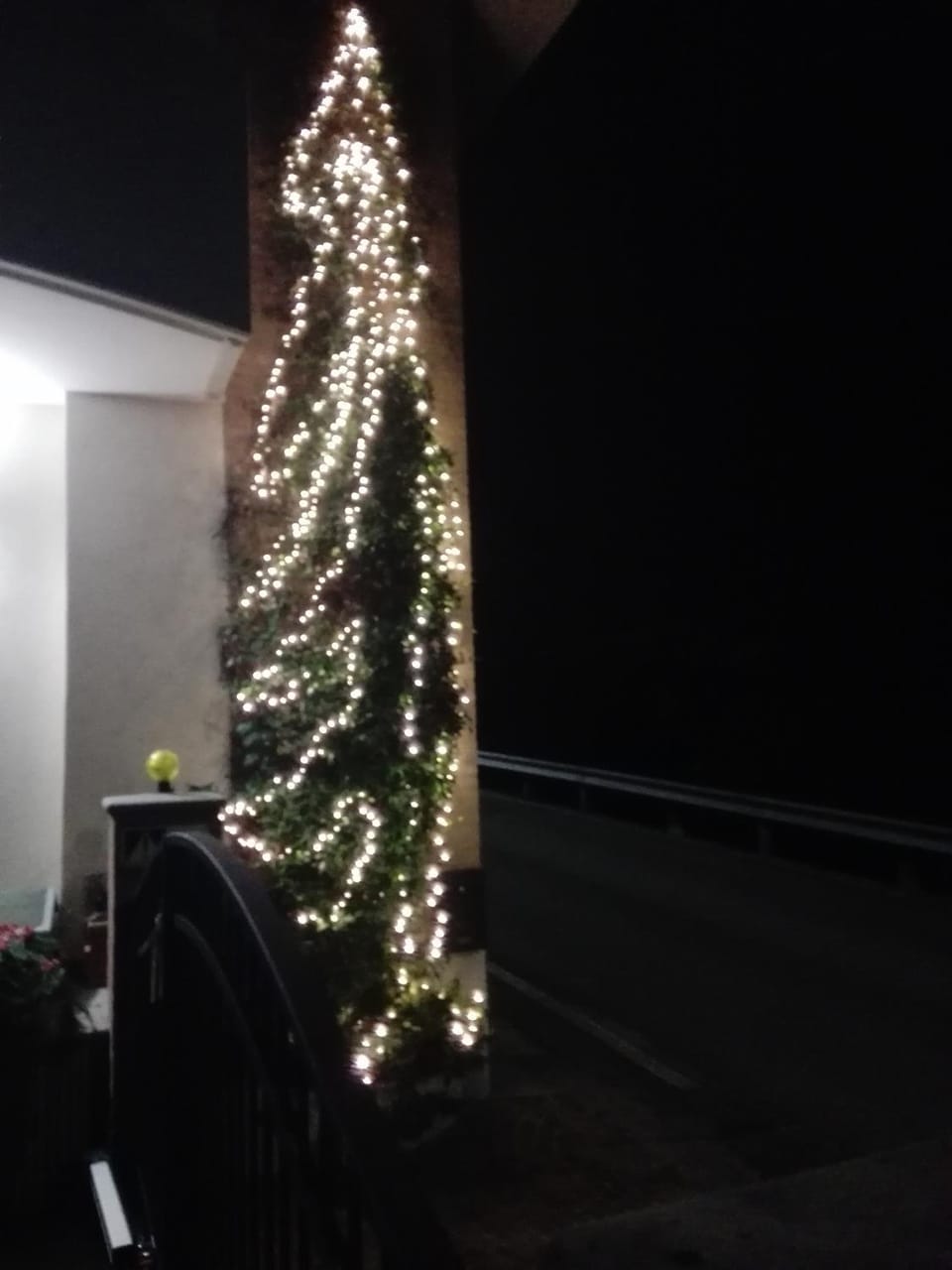 Facade/entrance, Night, Winter, Decorative detail, On site