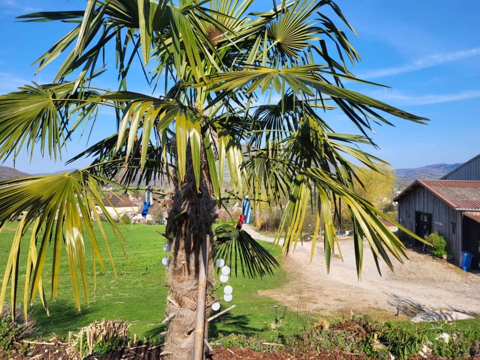 Ti caz prairie Campground/ 
RV Resort in Jura