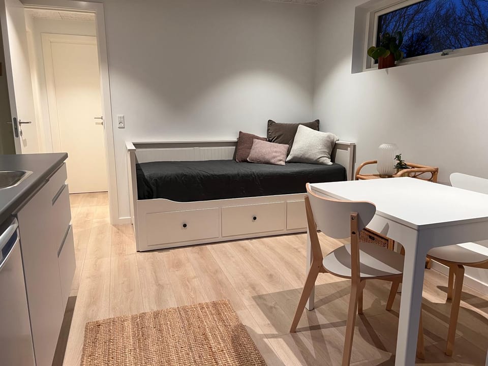 Bed, Kitchen or kitchenette, Living room, Photo of the whole room, Seating area, Dining area, Bedroom