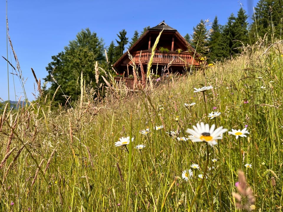 Natural landscape