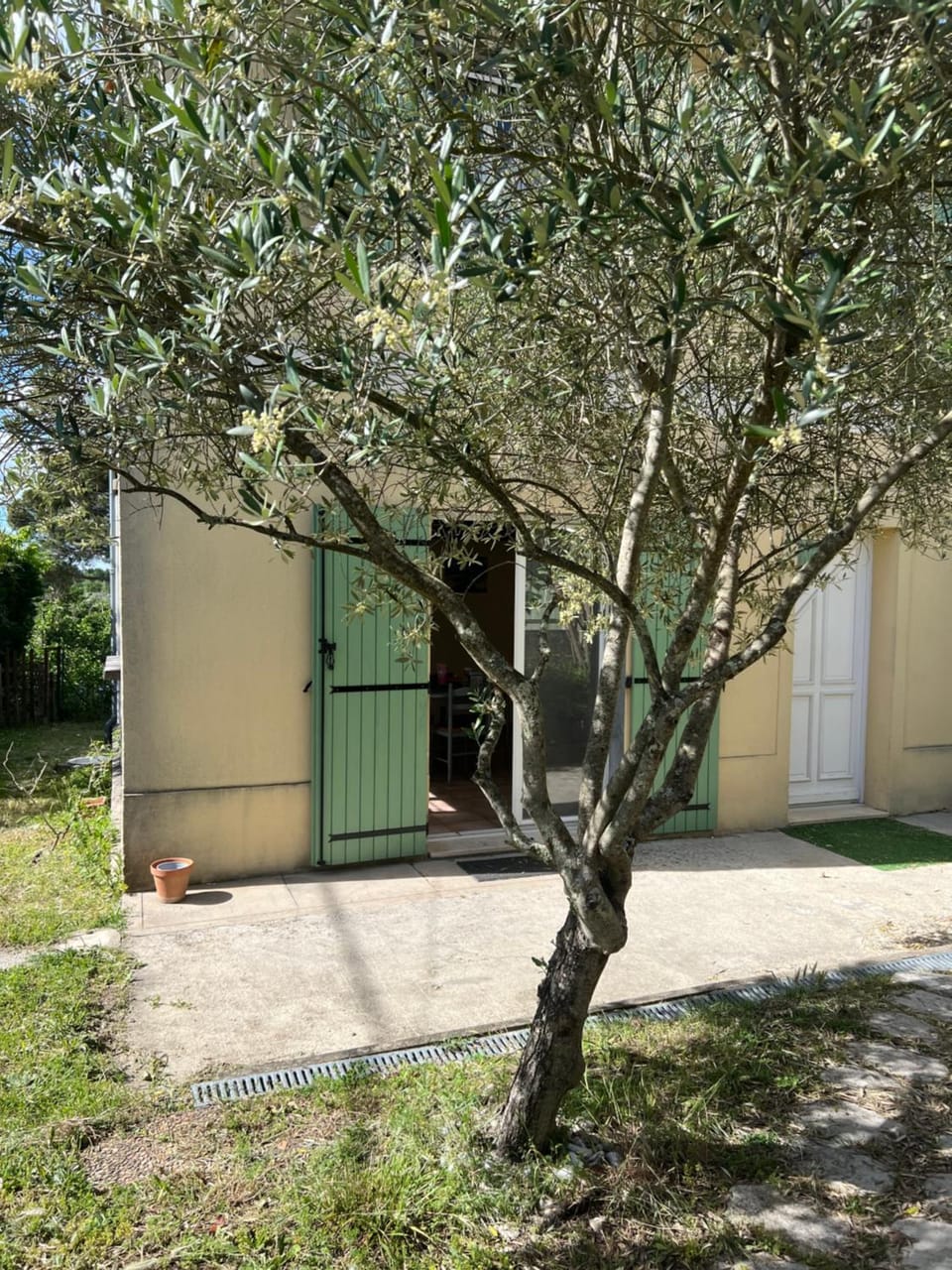 Spring, Garden, Garden view