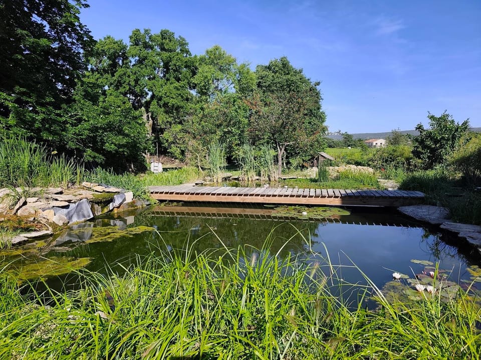Lake view
