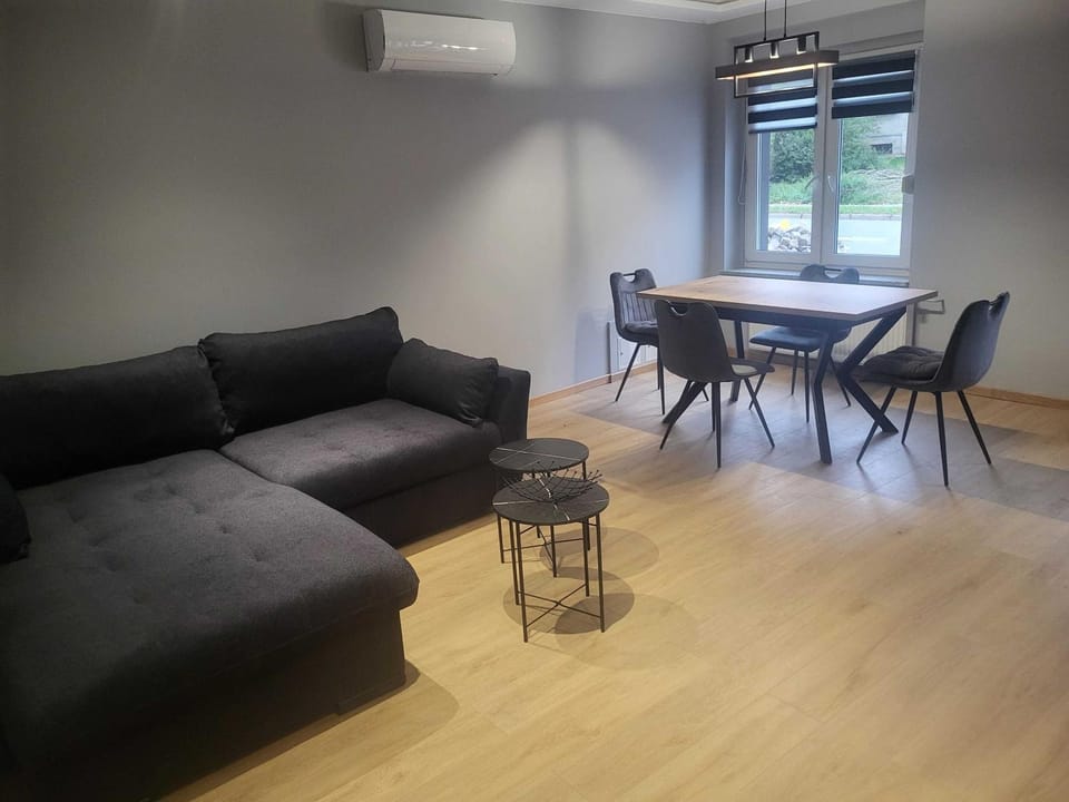 Living room, Seating area, Dining area, air conditioner