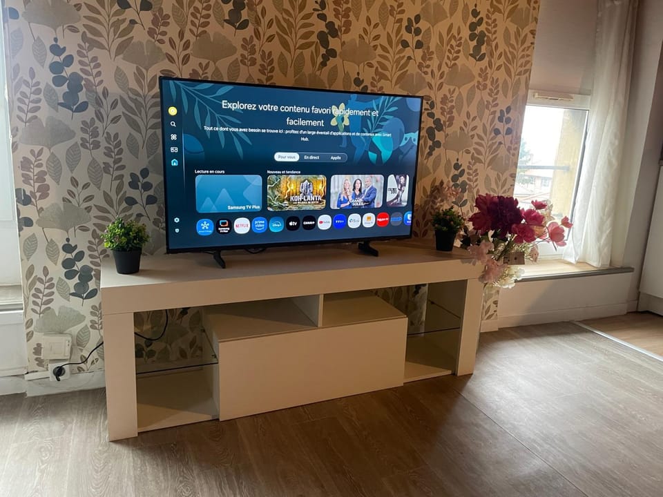 TV and multimedia