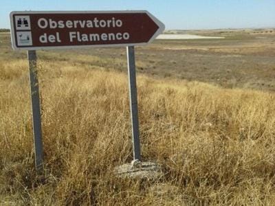 El rincón del pintor Apartment in La Mancha