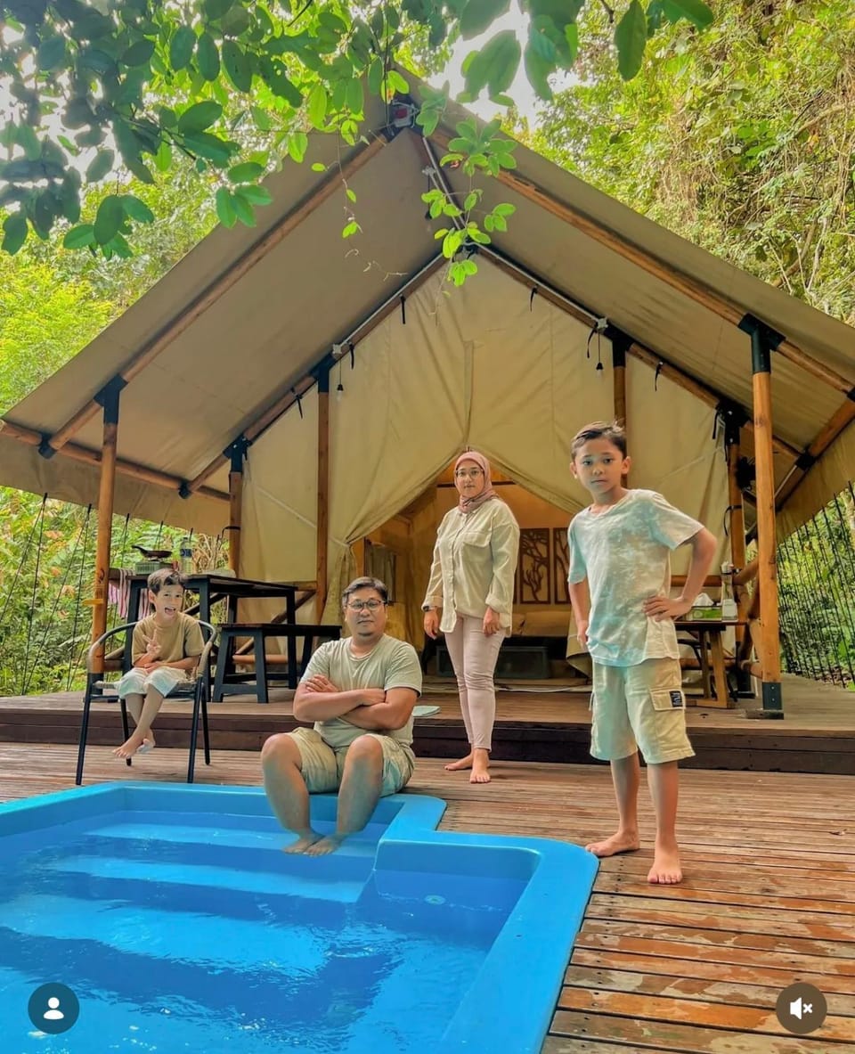 Swimming pool, group of guests