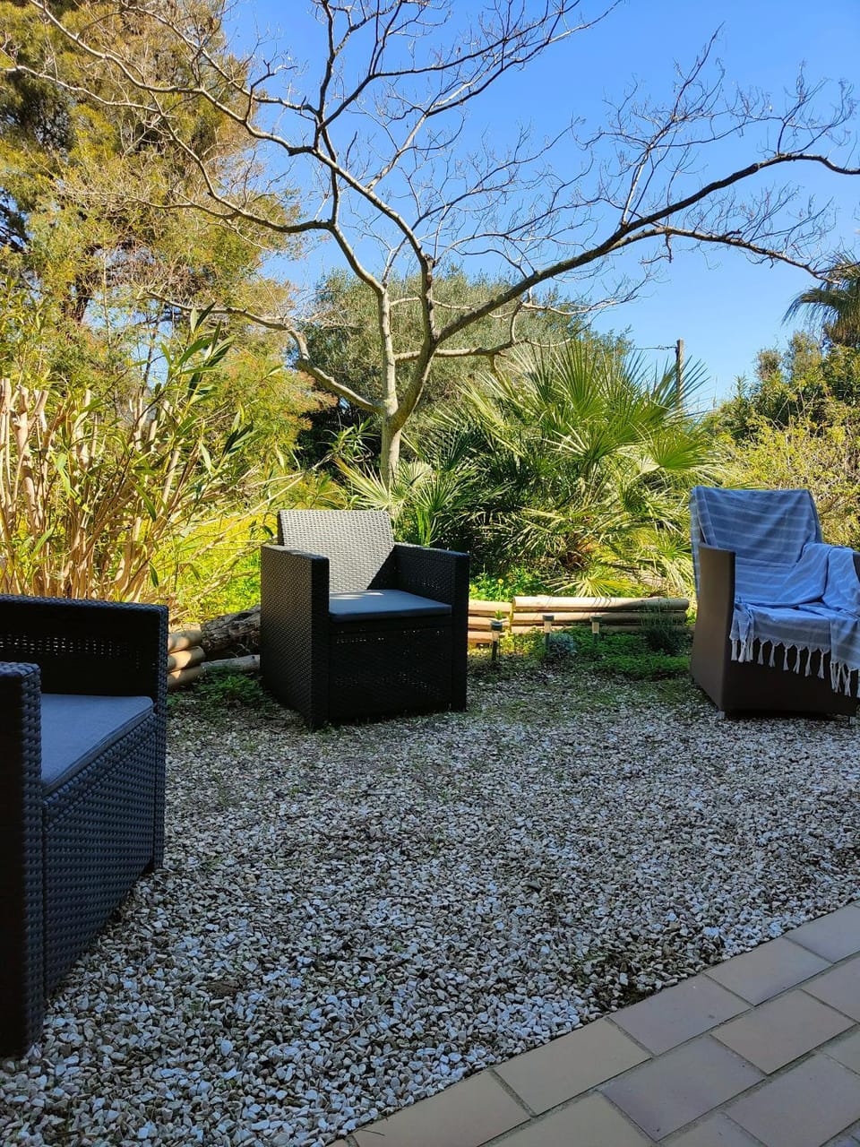 Patio, Garden, Garden view