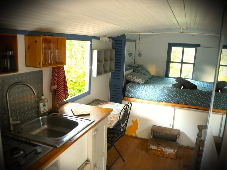 Bed, Kitchen or kitchenette, Photo of the whole room, Bedroom