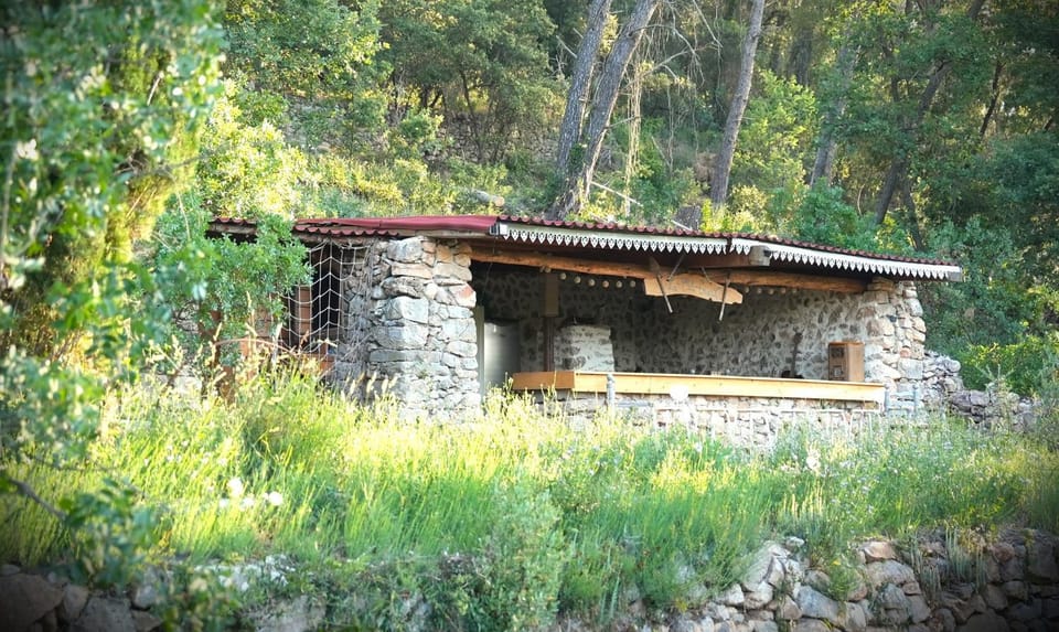 Kitchen or kitchenette, Communal kitchen
