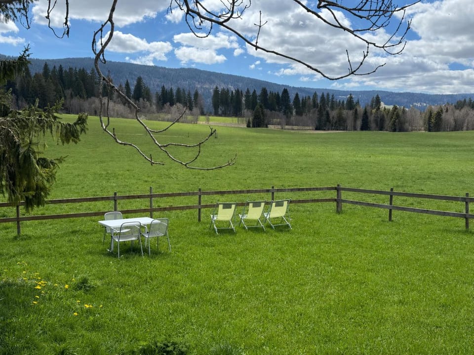 Spring, Garden, Mountain view