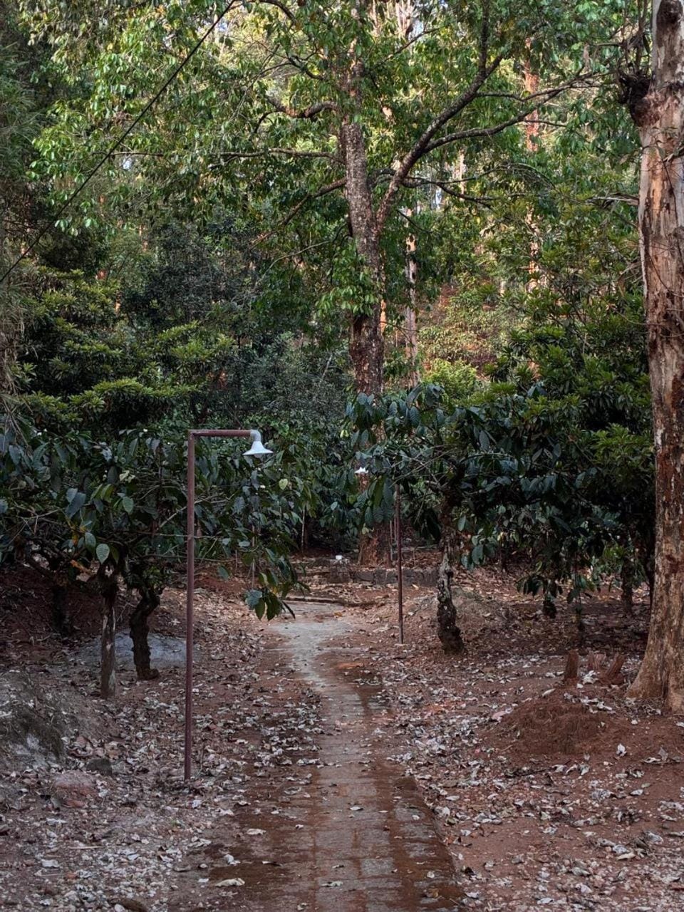 Kalyani Resort Resort in Kerala