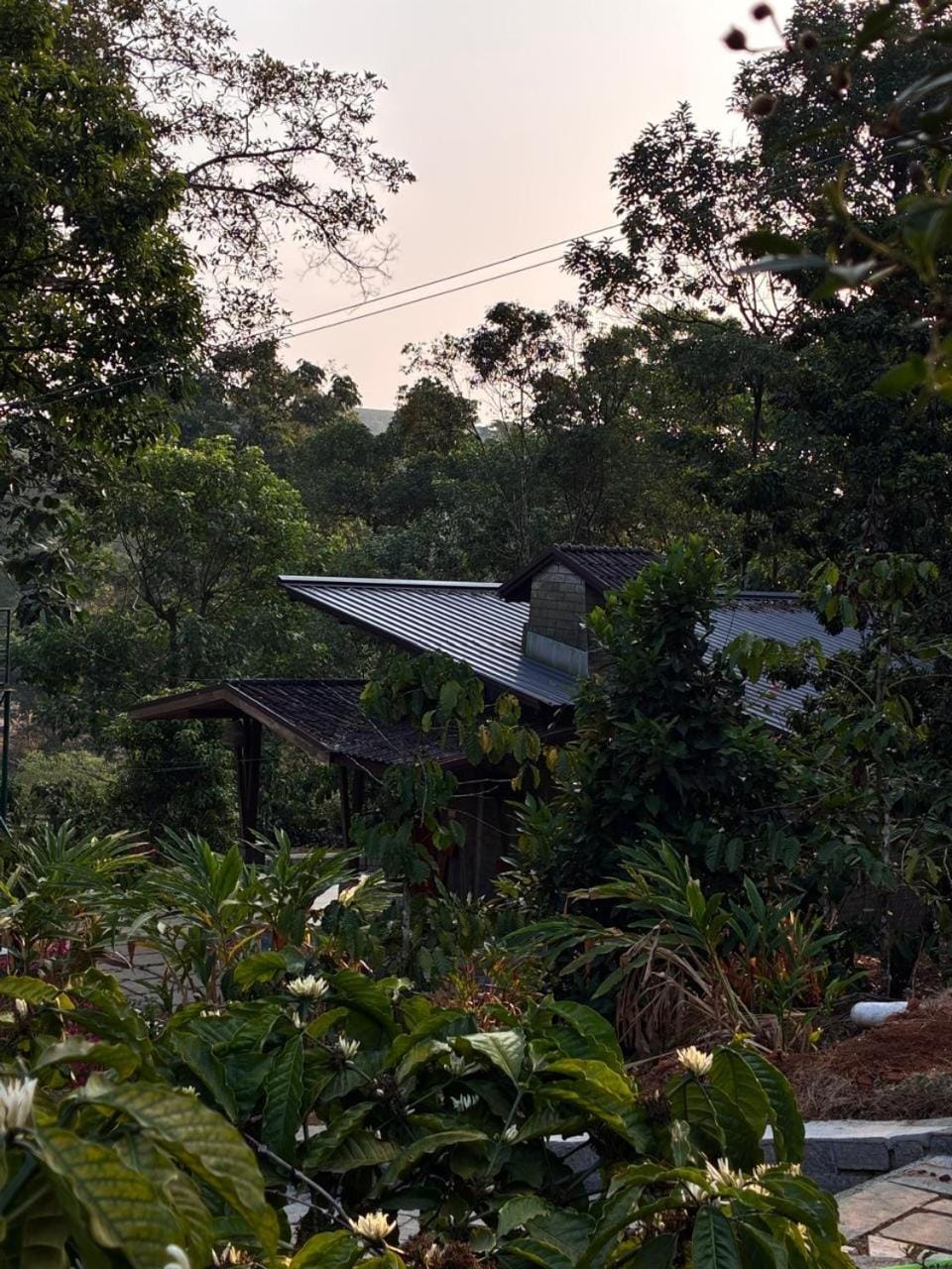 Kalyani Resort Resort in Kerala