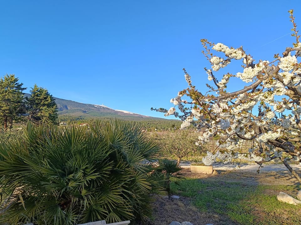 Maison de Vacances Au Pied du Mont Ventoux House in Bédoin