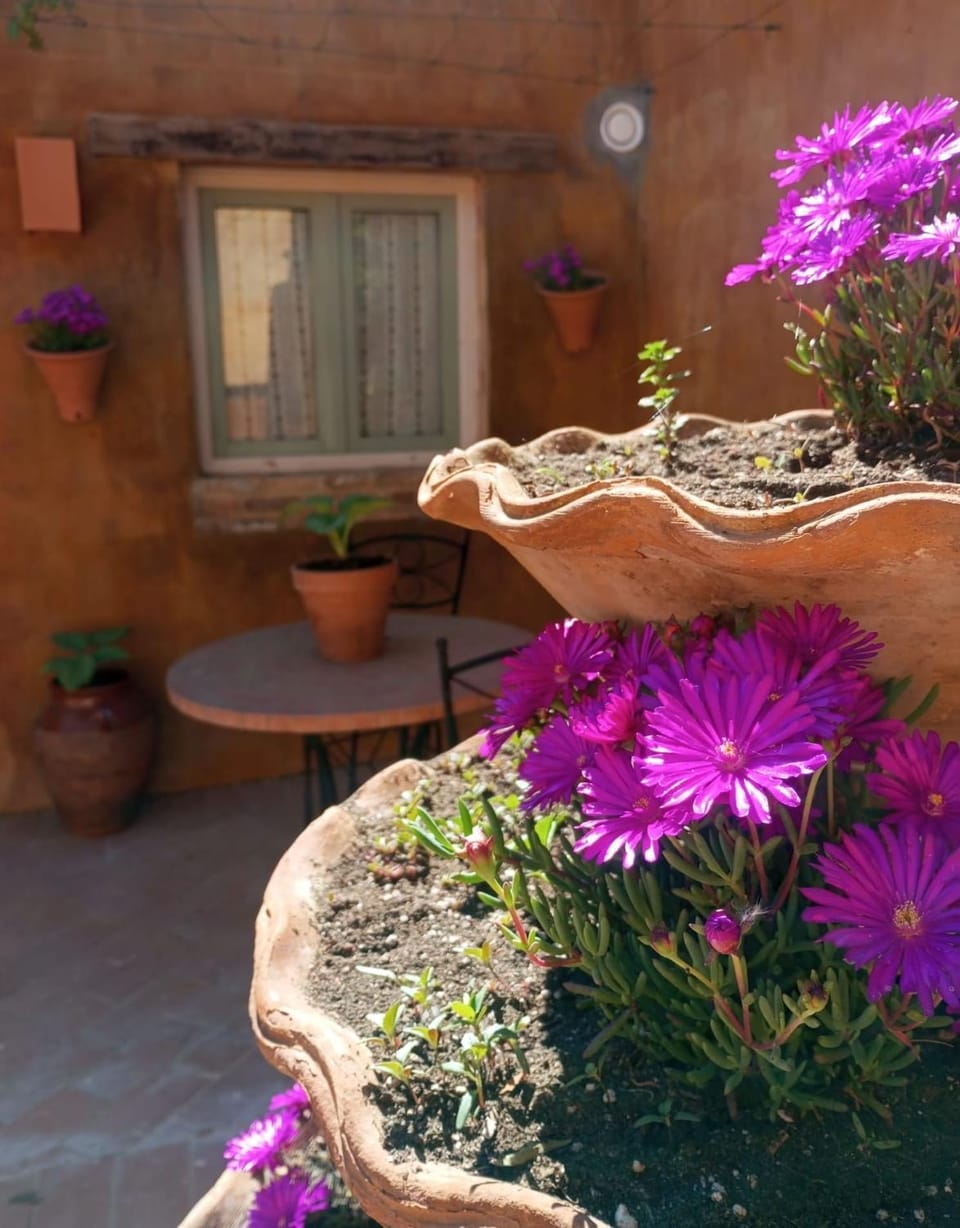 Masoala Forest Apartment in Catalonia