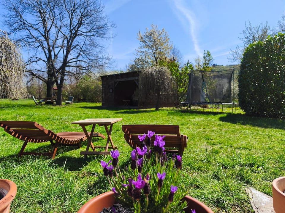Natural landscape, Garden, sunbed