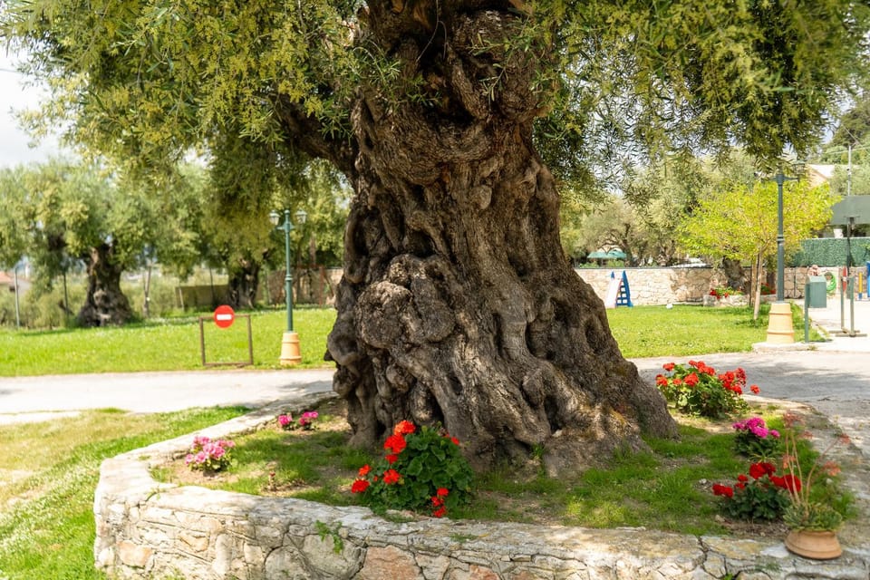 Natural landscape, Garden