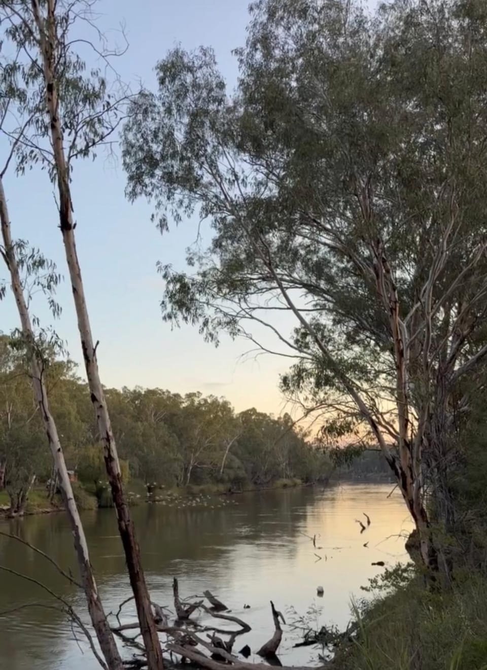 Corowa Caravan Park on the Murray River Motel in Wahgunyah