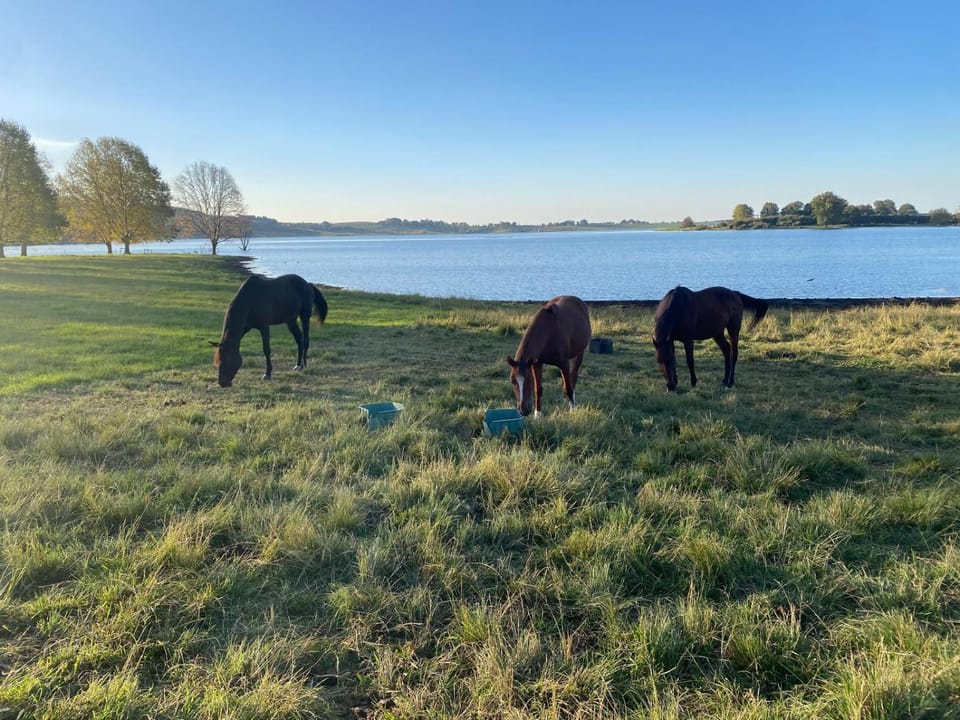 Lake view