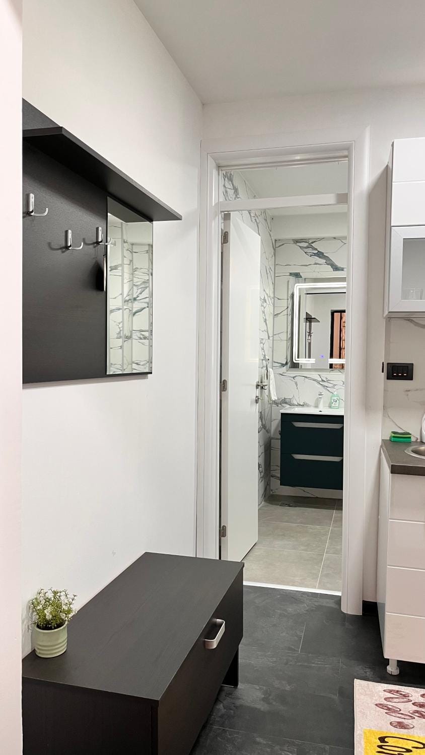Centar Apartment in Serbia
