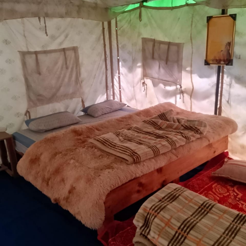 Shoolin camping Hotel in Himachal Pradesh