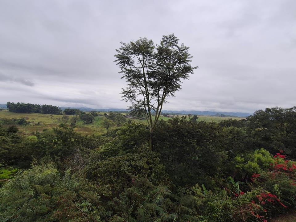 View (from property/room)