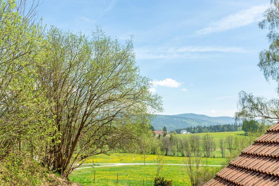 Fewo Enzian Apartment in Bavaria