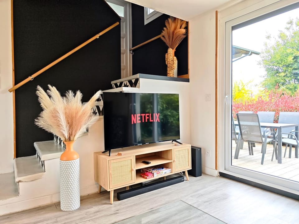 TV and multimedia