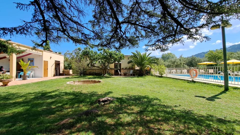 Property building, Natural landscape, Garden, Garden view, Pool view