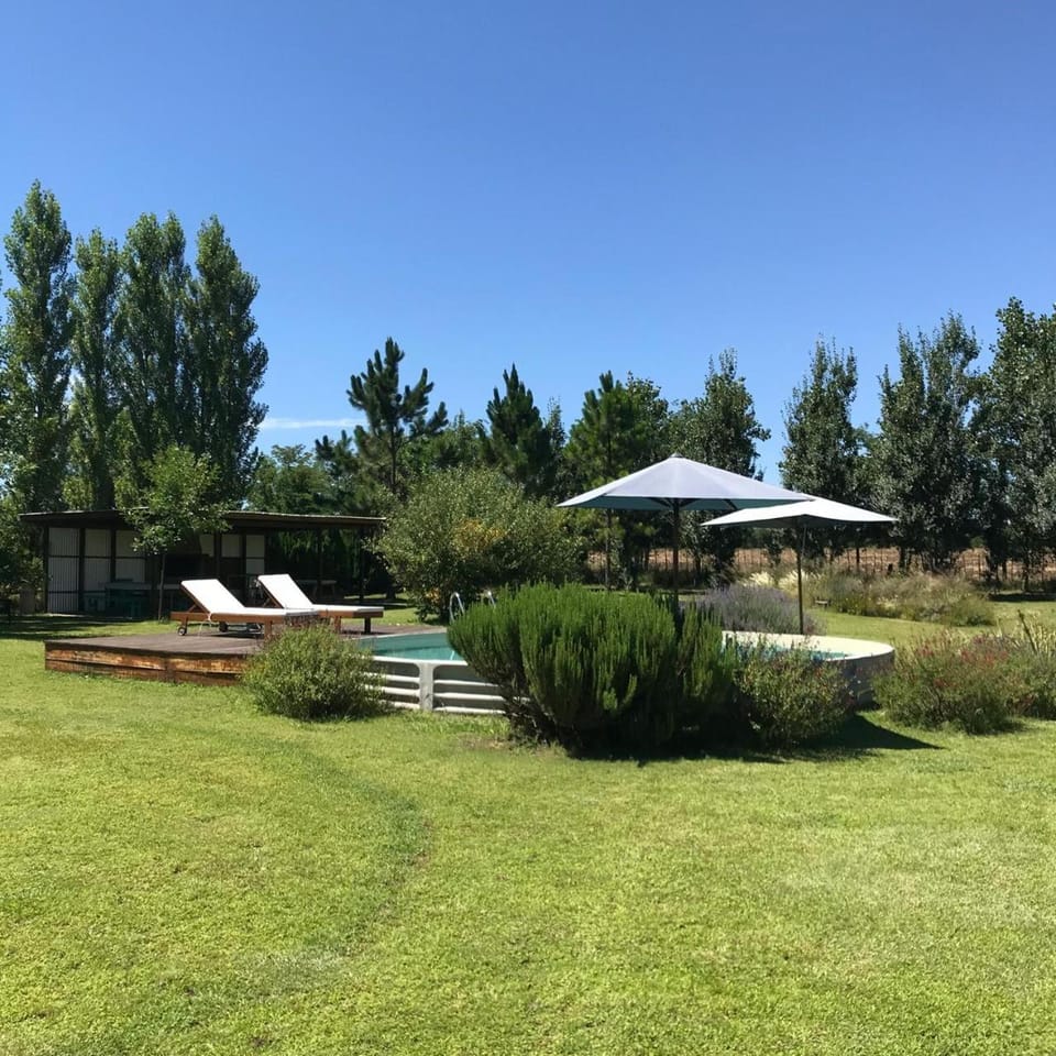 Natural landscape, Garden, Garden view, Swimming pool