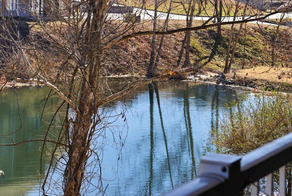 Branson Breeze Escape House in Branson
