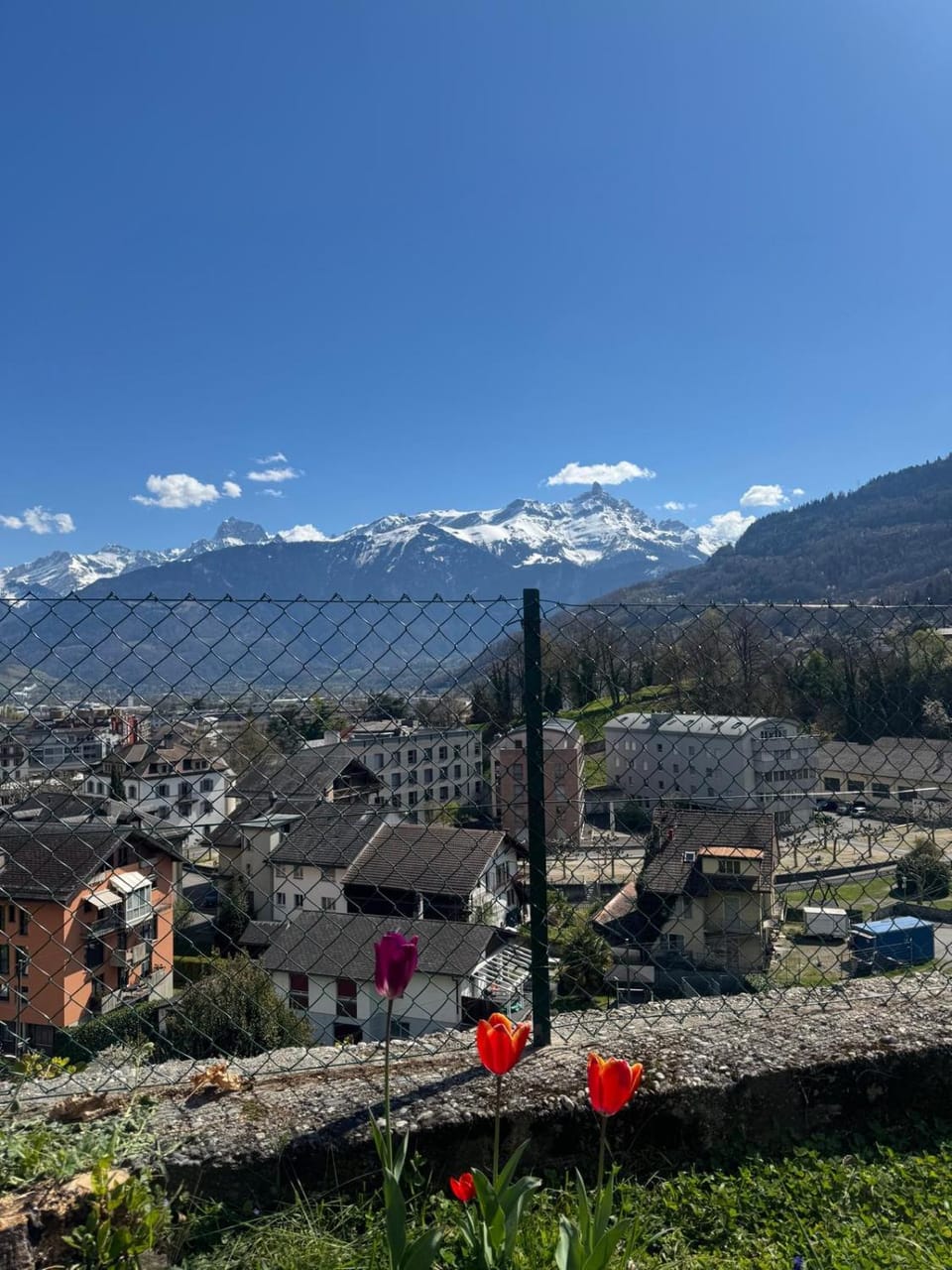 City view