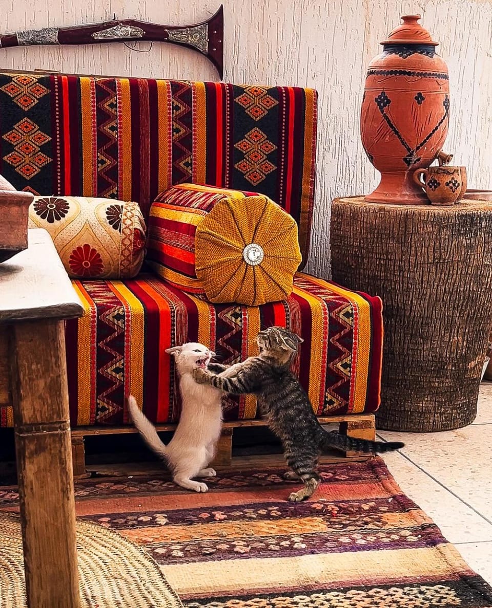 Itrane Hostel Hostel in Souss-Massa
