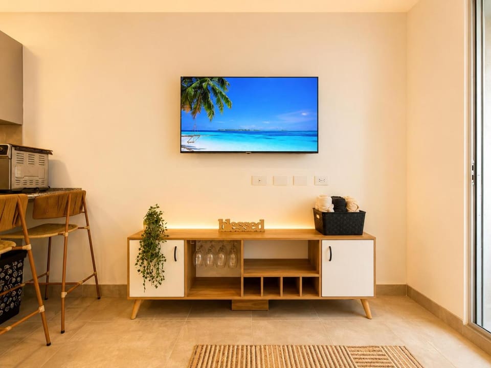 TV and multimedia
