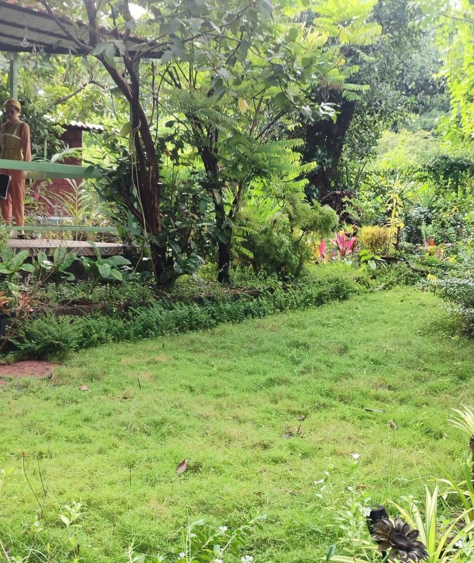 Garden view